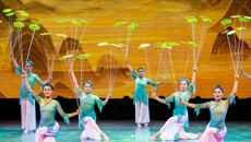 杂技节目《碟舞风华-转碟》